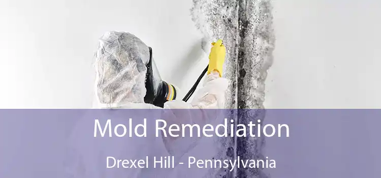 Mold Remediation Drexel Hill - Pennsylvania