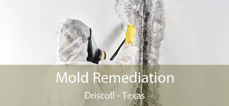 Mold Remediation Driscoll - Texas