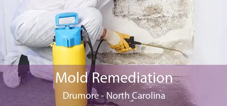 Mold Remediation Drumore - North Carolina