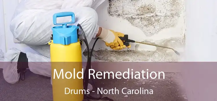 Mold Remediation Drums - North Carolina