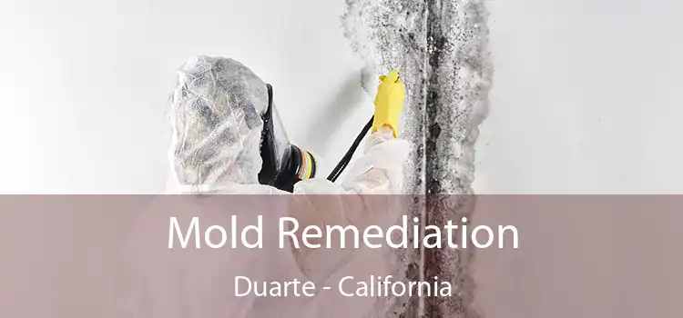 Mold Remediation Duarte - California