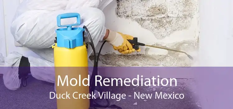 Mold Remediation Duck Creek Village - New Mexico