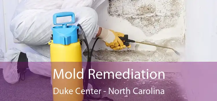 Mold Remediation Duke Center - North Carolina