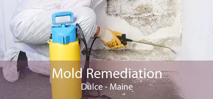 Mold Remediation Dulce - Maine