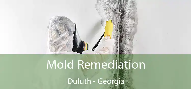 Mold Remediation Duluth - Georgia