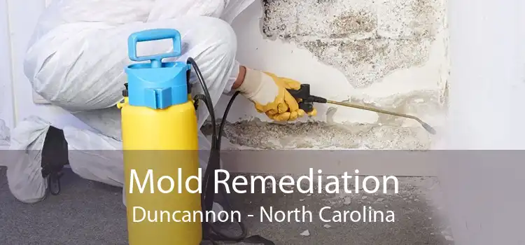 Mold Remediation Duncannon - North Carolina