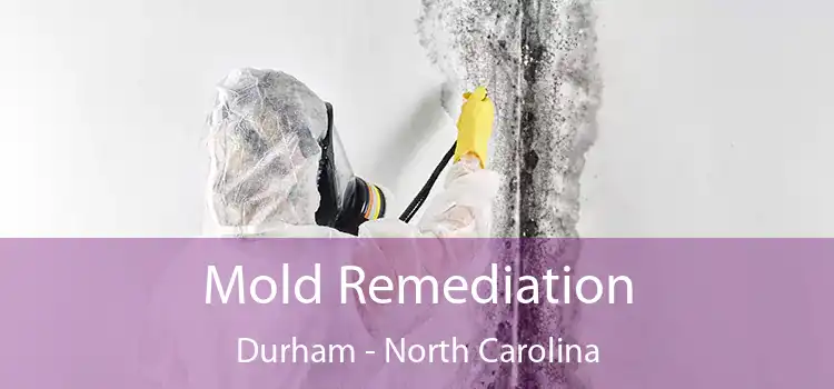 Mold Remediation Durham - North Carolina