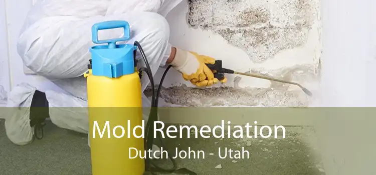 Mold Remediation Dutch John - Utah