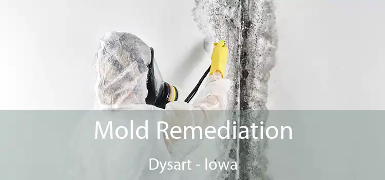 Mold Remediation Dysart - Iowa