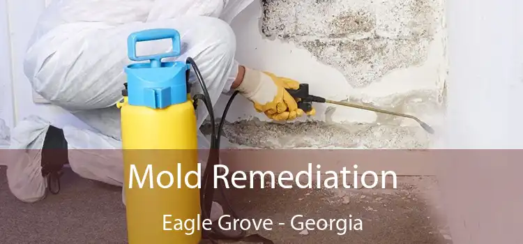 Mold Remediation Eagle Grove - Georgia