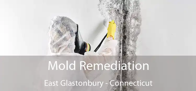 Mold Remediation East Glastonbury - Connecticut