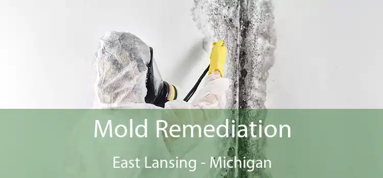 Mold Remediation East Lansing - Michigan