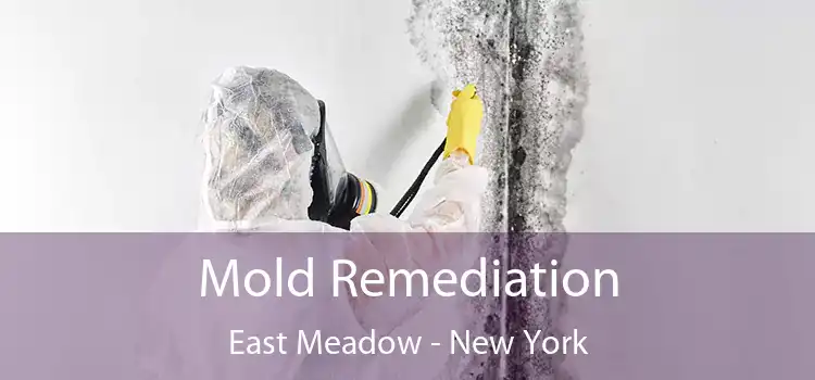 Mold Remediation East Meadow - New York