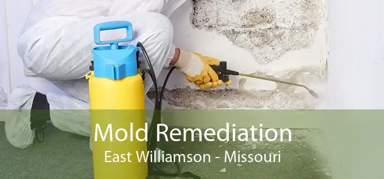 Mold Remediation East Williamson - Missouri