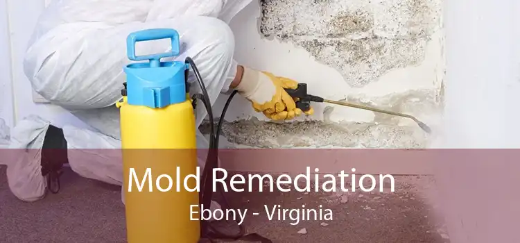 Mold Remediation Ebony - Virginia
