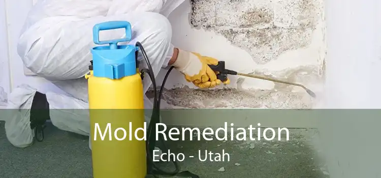 Mold Remediation Echo - Utah