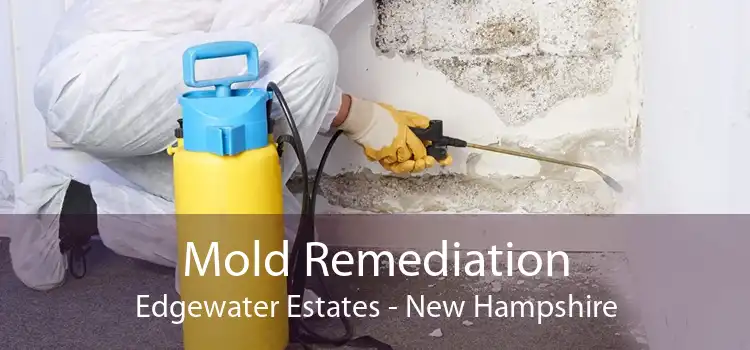 Mold Remediation Edgewater Estates - New Hampshire