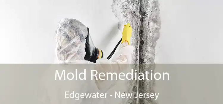 Mold Remediation Edgewater - New Jersey