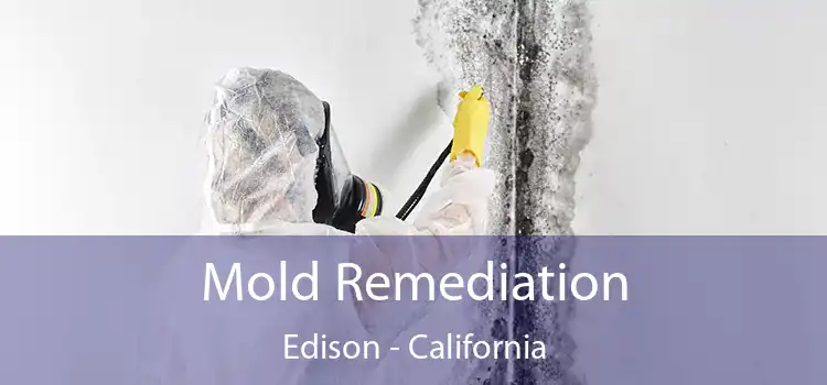 Mold Remediation Edison - California