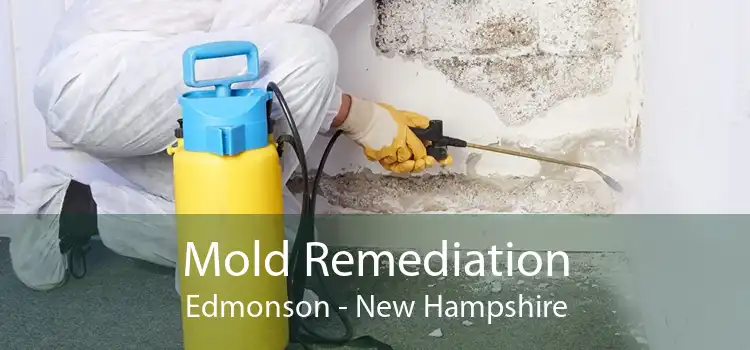 Mold Remediation Edmonson - New Hampshire