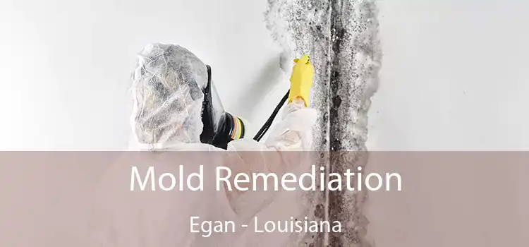 Mold Remediation Egan - Louisiana