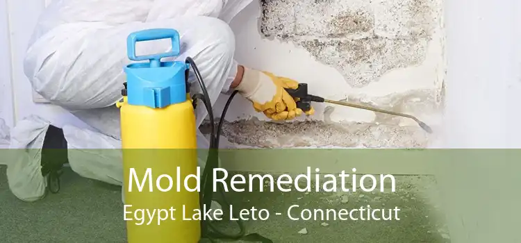 Mold Remediation Egypt Lake Leto - Connecticut