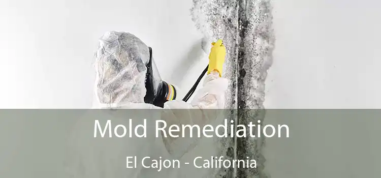 Mold Remediation El Cajon - California