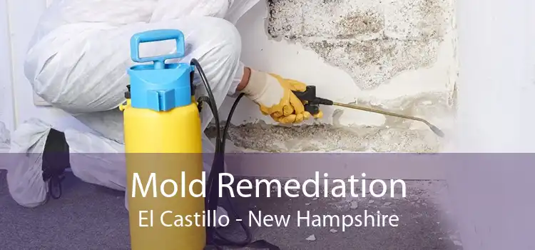 Mold Remediation El Castillo - New Hampshire