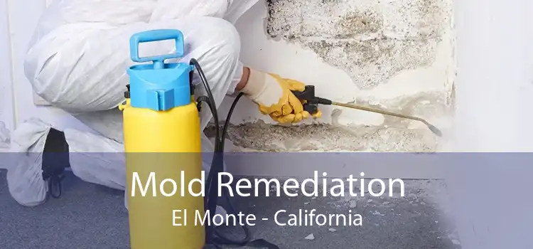 Mold Remediation El Monte - California