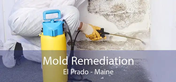 Mold Remediation El Prado - Maine