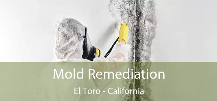 Mold Remediation El Toro - California