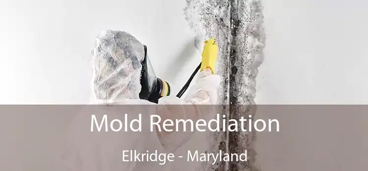 Mold Remediation Elkridge - Maryland