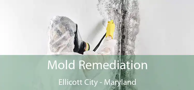 Mold Remediation Ellicott City - Maryland