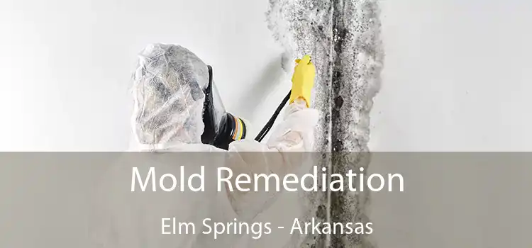 Mold Remediation Elm Springs - Arkansas