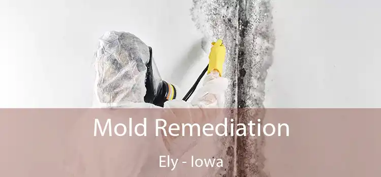 Mold Remediation Ely - Iowa