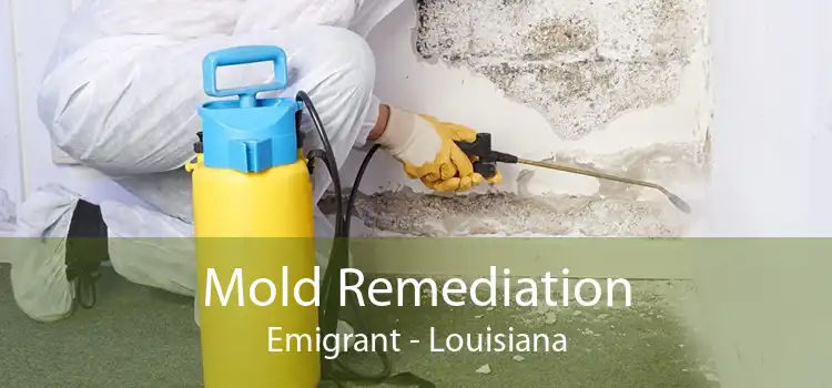 Mold Remediation Emigrant - Louisiana