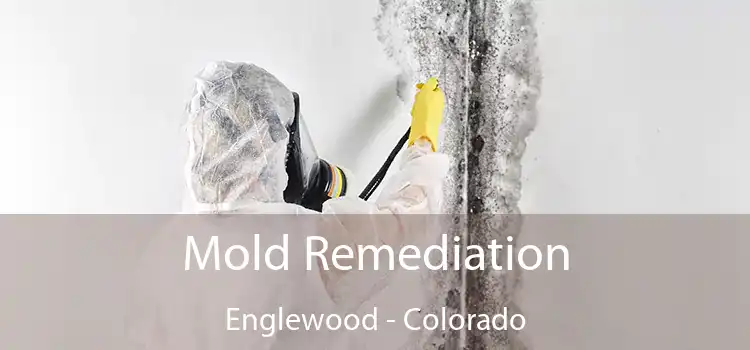 Mold Remediation Englewood - Colorado