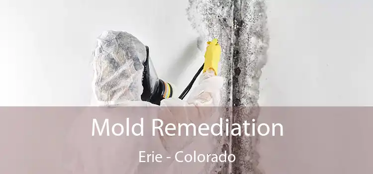 Mold Remediation Erie - Colorado