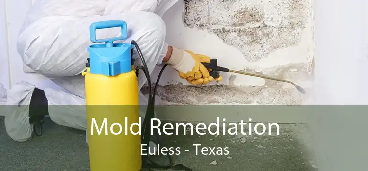 Mold Remediation Euless - Texas