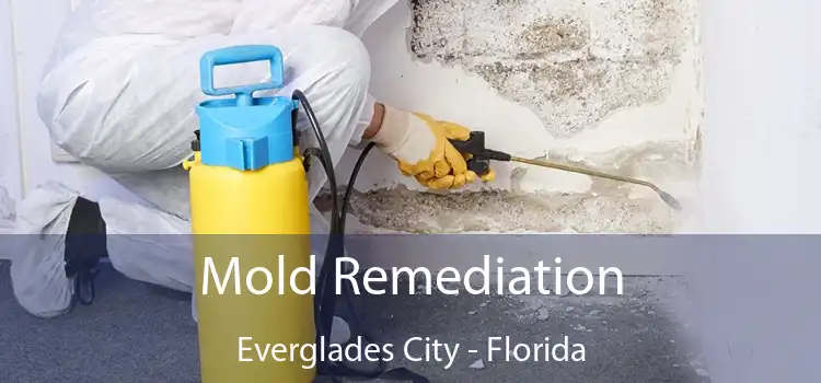 Mold Remediation Everglades City - Florida