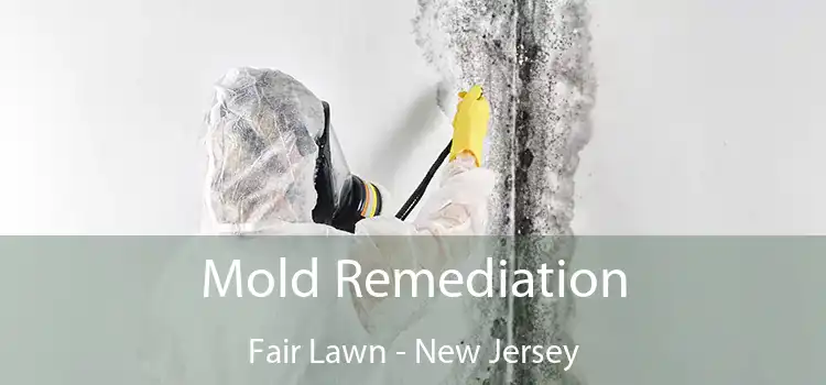 Mold Remediation Fair Lawn - New Jersey