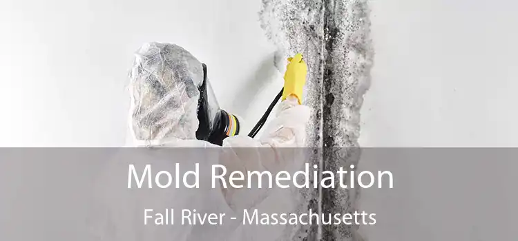 Mold Remediation Fall River - Massachusetts