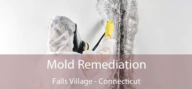 Mold Remediation Falls Village - Connecticut