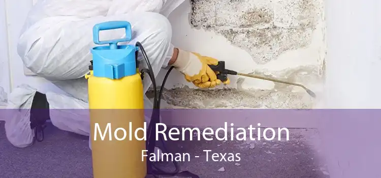 Mold Remediation Falman - Texas