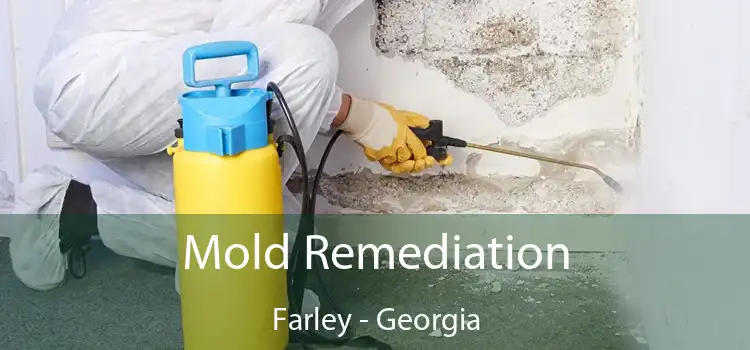 Mold Remediation Farley - Georgia