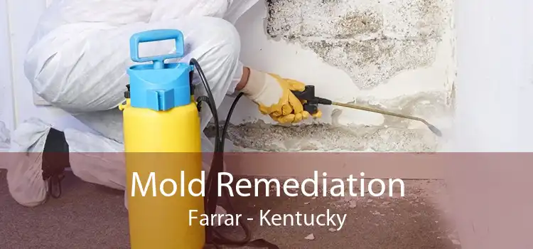 Mold Remediation Farrar - Kentucky