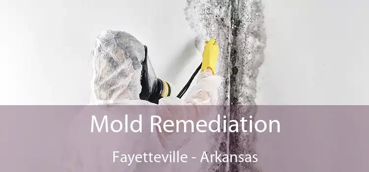 Mold Remediation Fayetteville - Arkansas