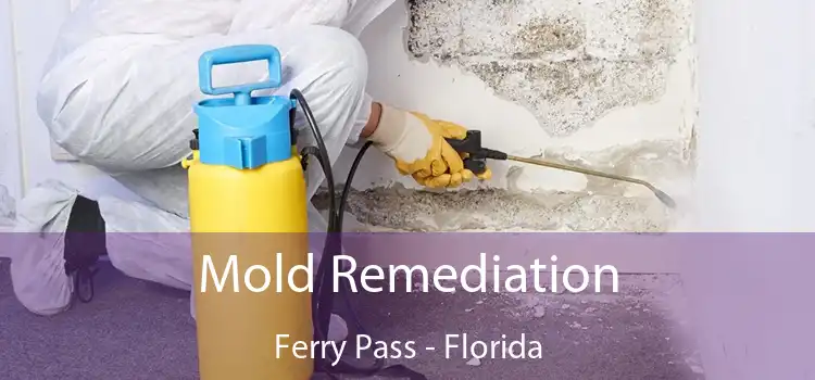 Mold Remediation Ferry Pass - Florida