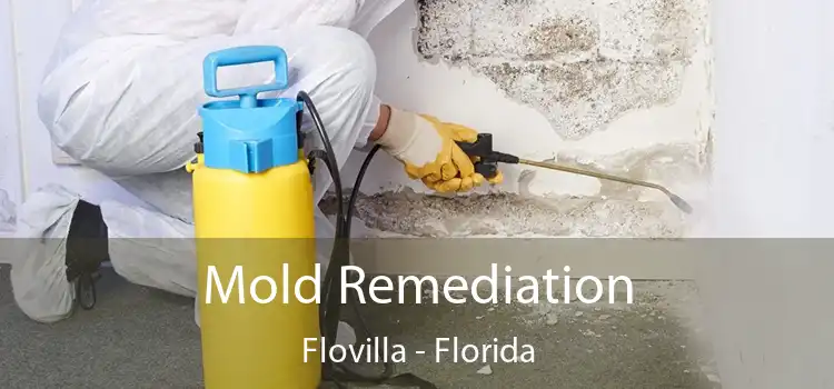 Mold Remediation Flovilla - Florida