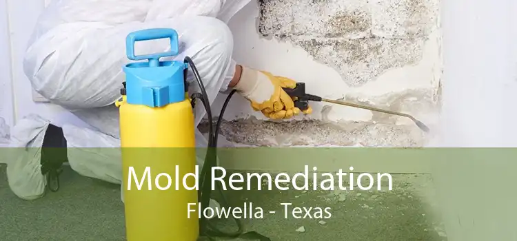 Mold Remediation Flowella - Texas